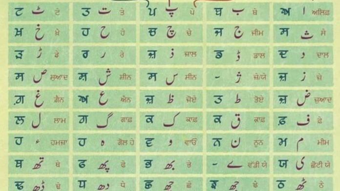 Untitled design (6)